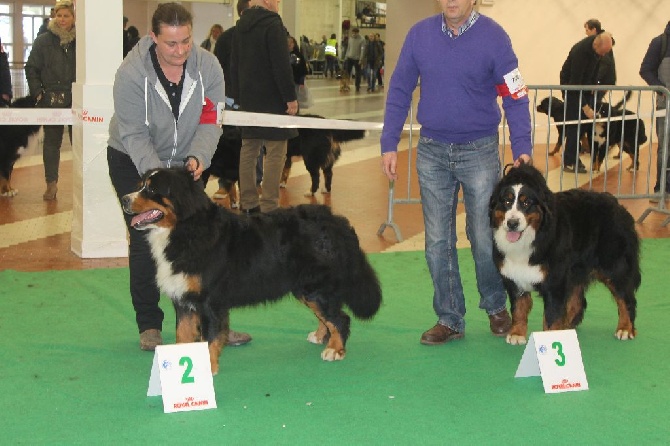 de la Ferme du Rotour - EXPO ANGERS