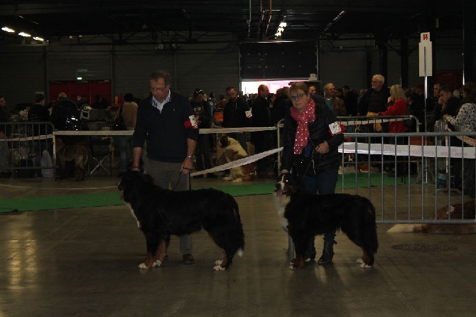 de la Ferme du Rotour - expo du mans