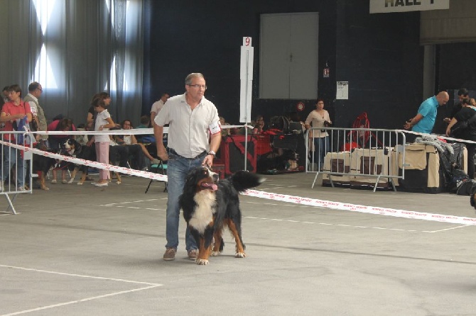 de la Ferme du Rotour - EXPO ROUEN  SAMEDI 6 DECEMBRE