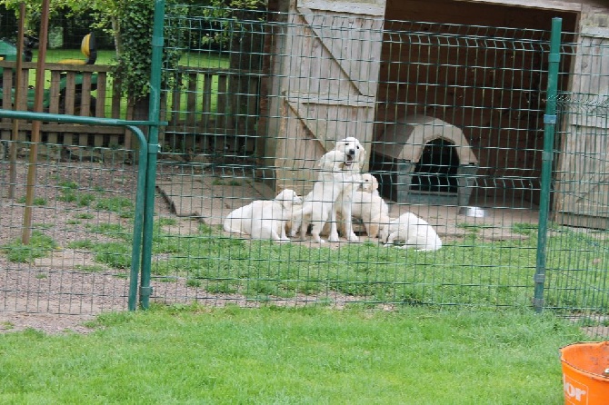 de la Ferme du Rotour - photo du jour