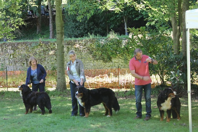 de la Ferme du Rotour - expo a maltot