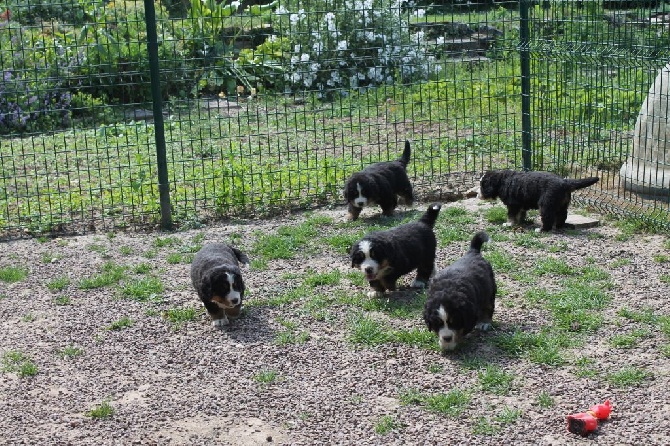 de la Ferme du Rotour - NOUVELLES PHOTOS