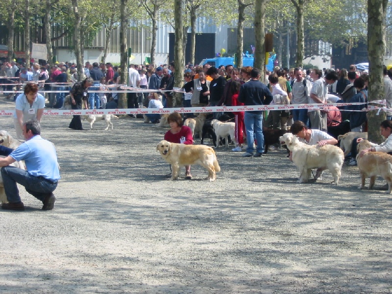 Topaze Des Bruyères De Servière