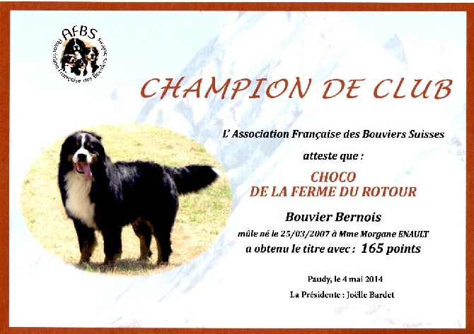 de la Ferme du Rotour - CHOCO CHAMPION DE CLUB