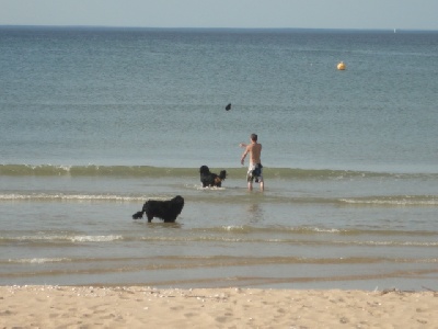 de la Ferme du Rotour - LES BB A LA PLAGE ET BAIGNADE