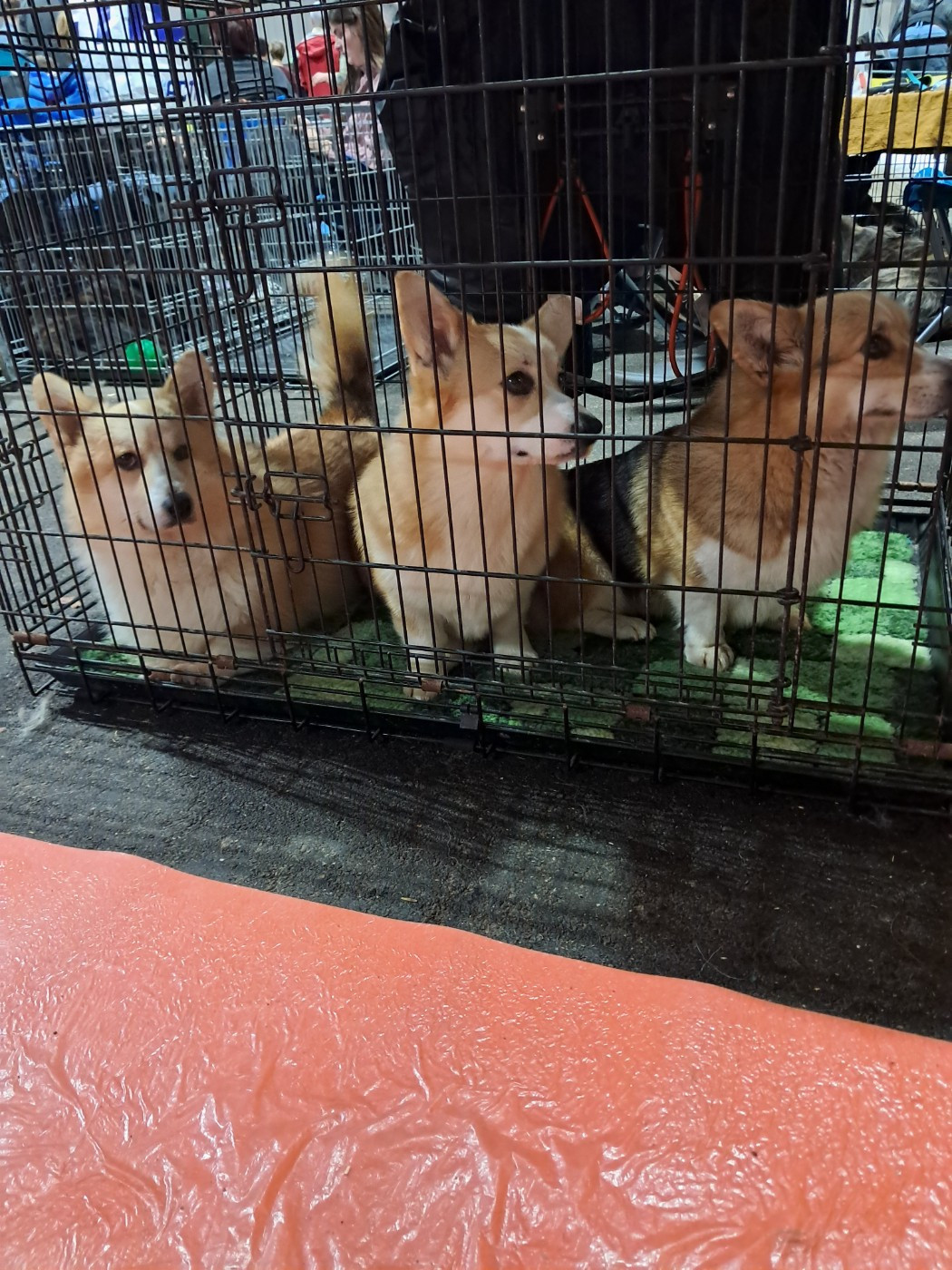 de la Ferme du Rotour - Expo Rouen