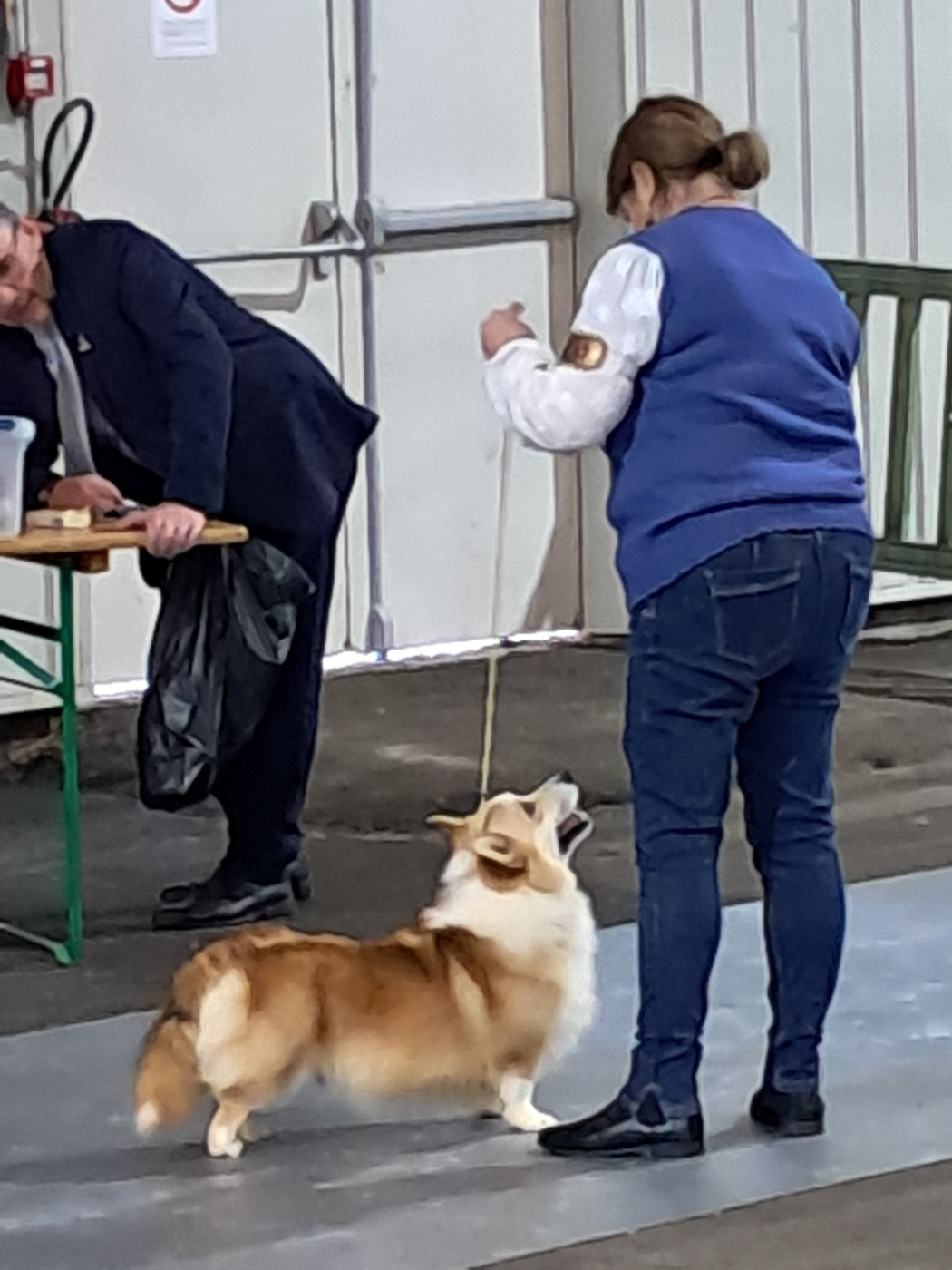 de la Ferme du Rotour - Uber cote 4