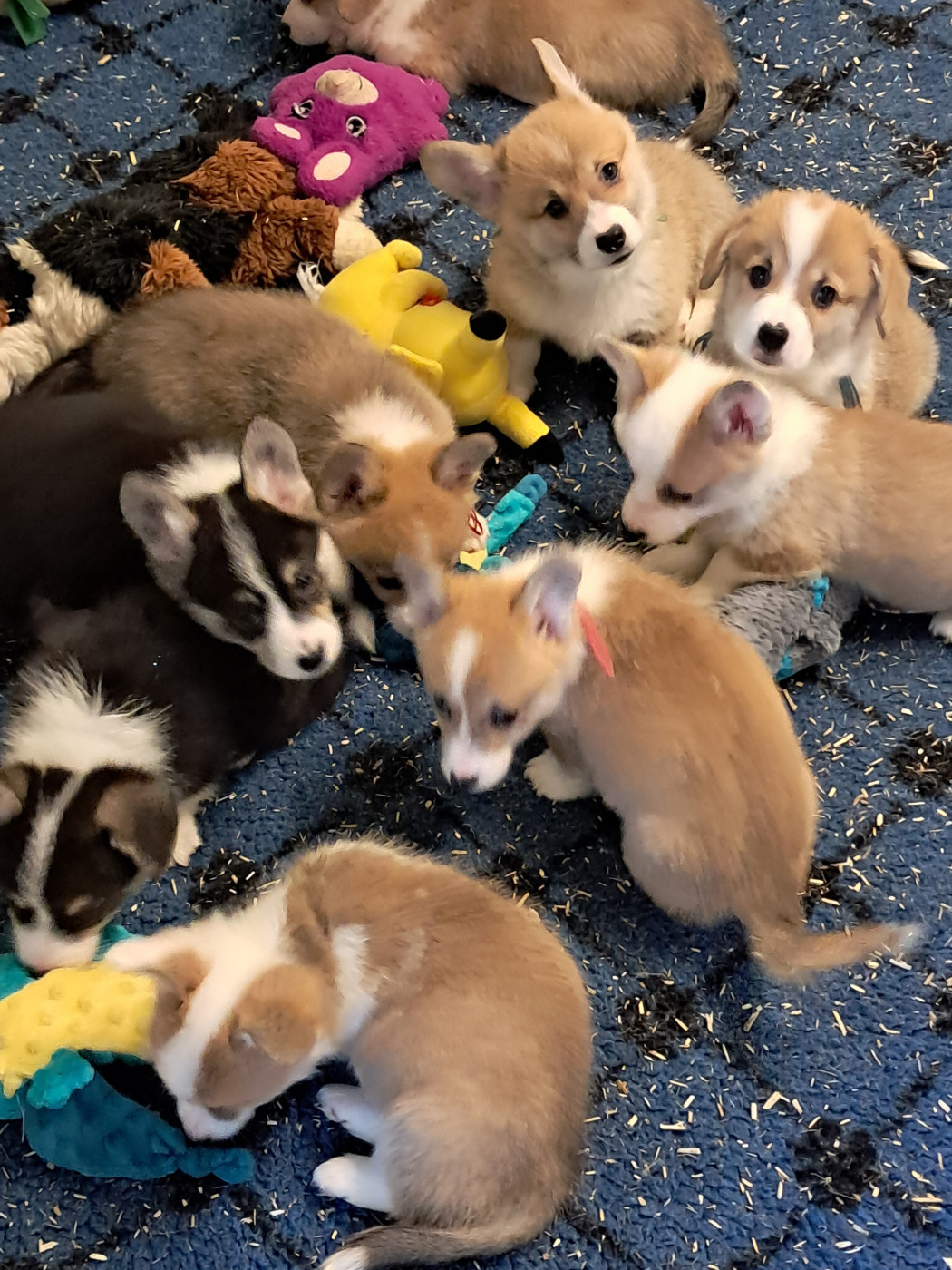 Bb 2 mois le 27 decembre