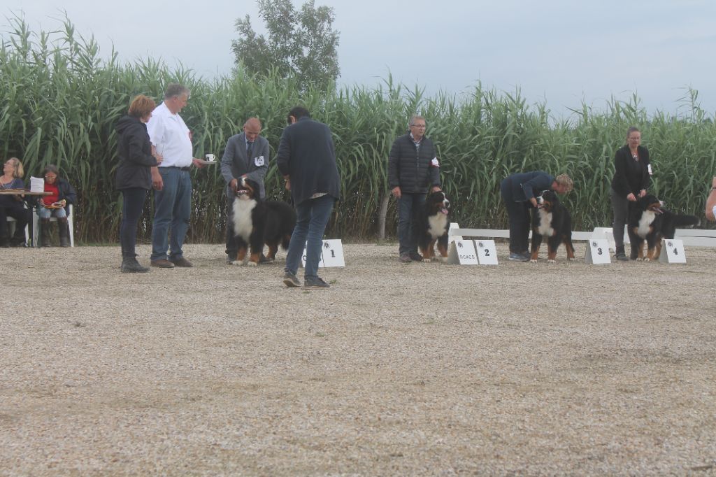 de la Ferme du Rotour - RCACS NATIONALE 2021