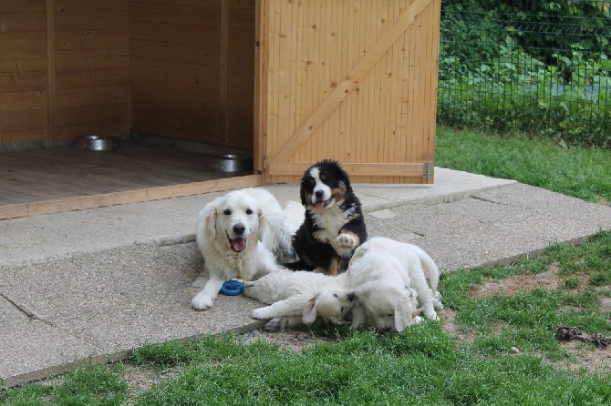 de la Ferme du Rotour - MOKA ET MILOU