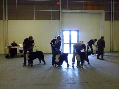de la Ferme du Rotour - EXPO LAVAL FISTON