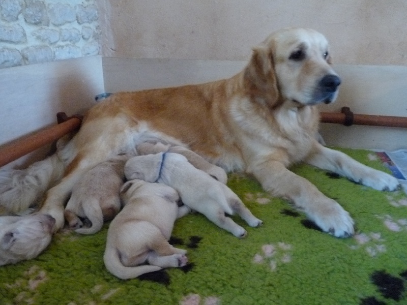 bb chelsea et vatow aout 2009