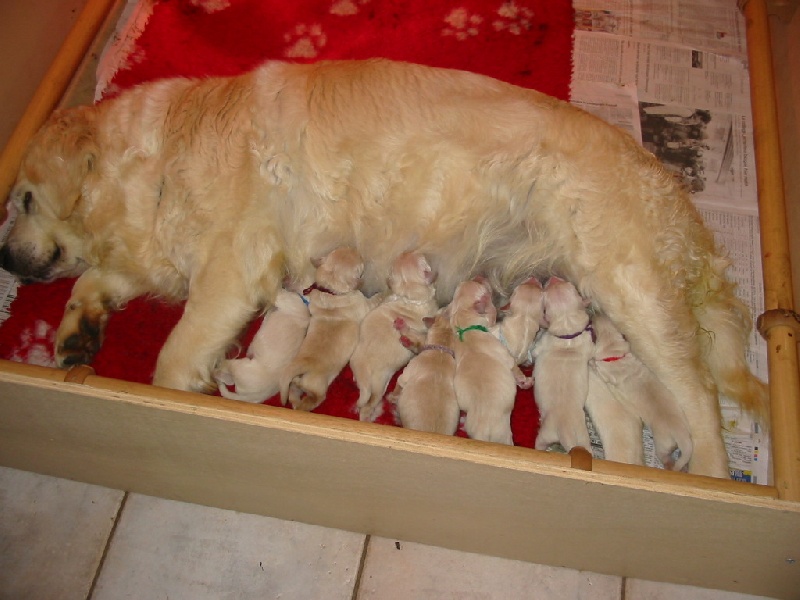 sonate et amber bb mai 2008